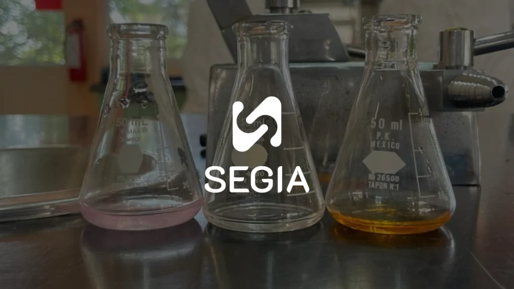 Jasa Pengelolaan Website Industri Kimia profesional. Solusi digital efektif : Segia Tech aman SEO optimal, fokus pada pertumbuhan bisnis Anda